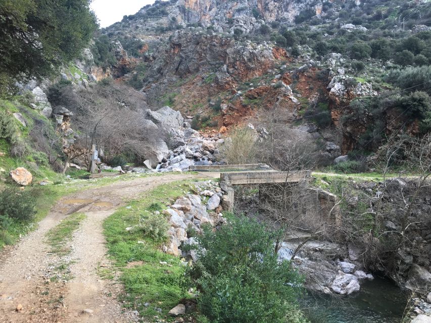 Rethymno 4x4 Safari: Tastes & Farm Experience - Who gets the most from this safari