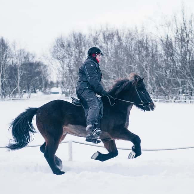 Reykjavik: Golden Circle, Farm & Sky Lagoon Small-Group Tour - Timing, weather, and comfort