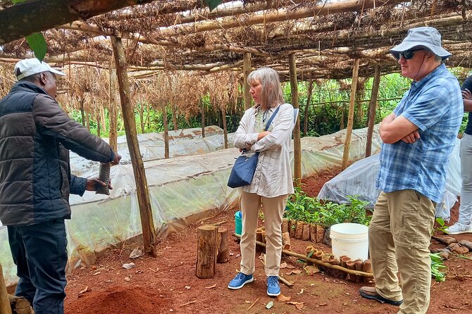 Riara tea farm tour with lunch and tea tasting from Nairobi - Arriving at Riara Tea Farm in Limuru