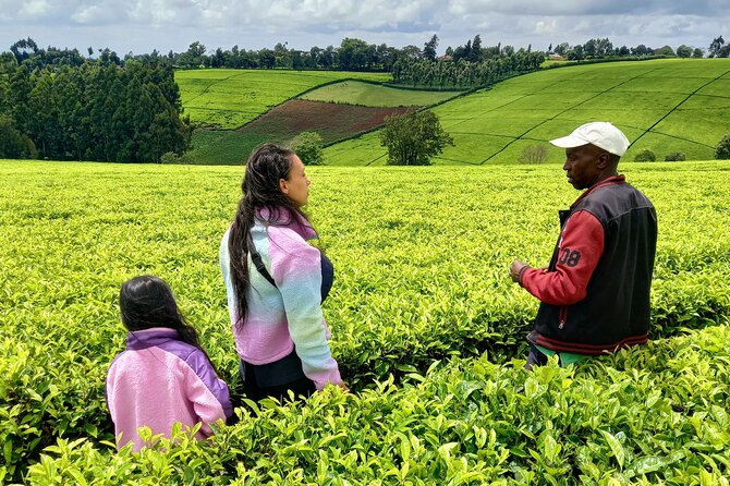 Riara tea farm tour with lunch and tea tasting from Nairobi - Who will enjoy this tea farm visit most