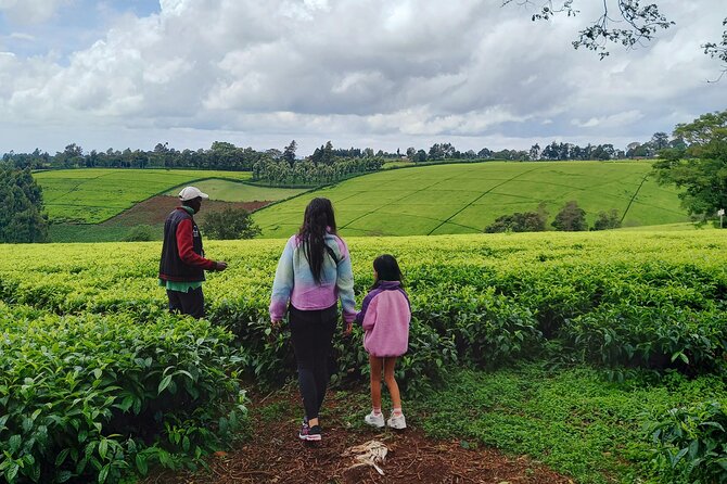 Riara tea farm tour with lunch and tea tasting from Nairobi - Timing, transport, and practical details