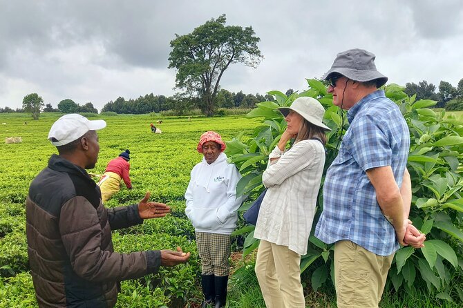 Riara tea farm tour with lunch and tea tasting from Nairobi - A tea lesson followed by a proper tasting
