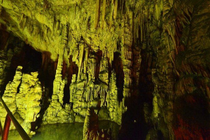 Road-trip to Lasithi, Zeus Cave, Vidiani, Krasi & Olive Mill Farm - Krasi and its enormous plane tree