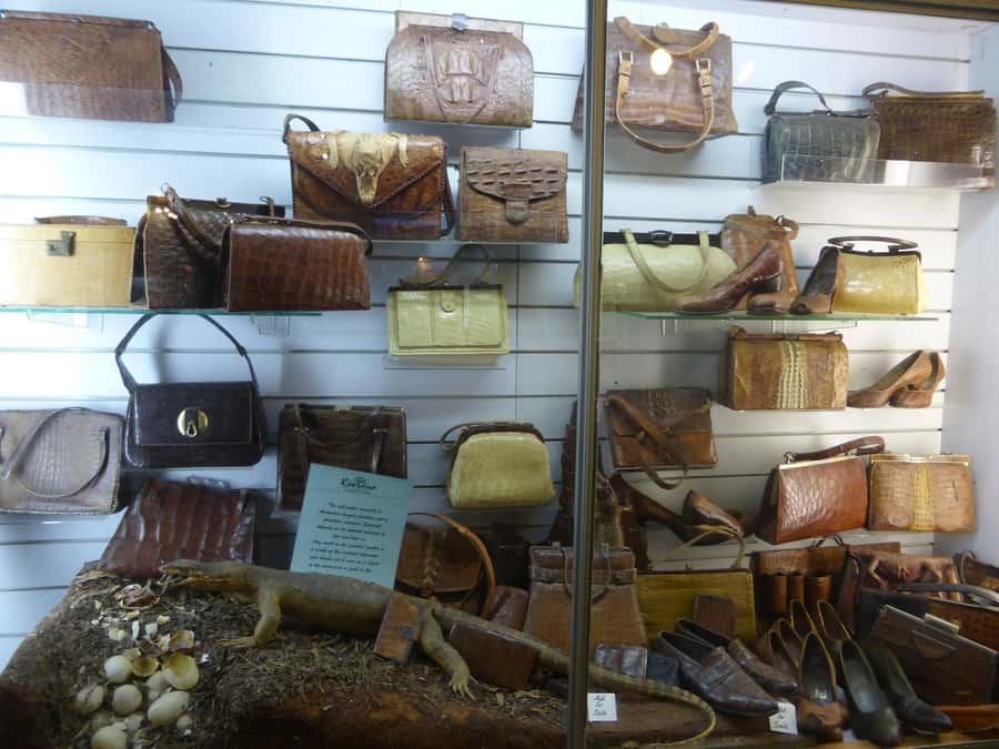 Rockhampton: Koorana Crocodile Farm Guided Tour - Key things to know before you go
