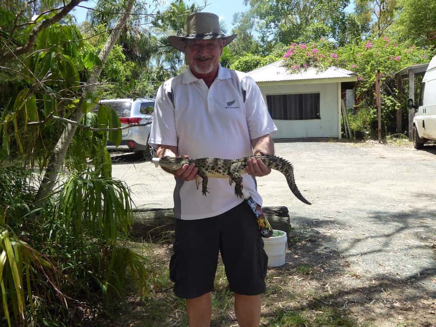 Rockhampton: Koorana Crocodile Farm Guided Tour - Eggs, nest raids, and hatching season