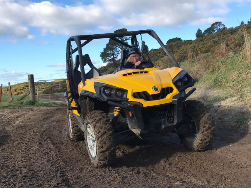 Rotorua: 4×4 Self-Drive Buggy Tour Through Farm and Bushland - Scenic viewpoints above Rotorua
