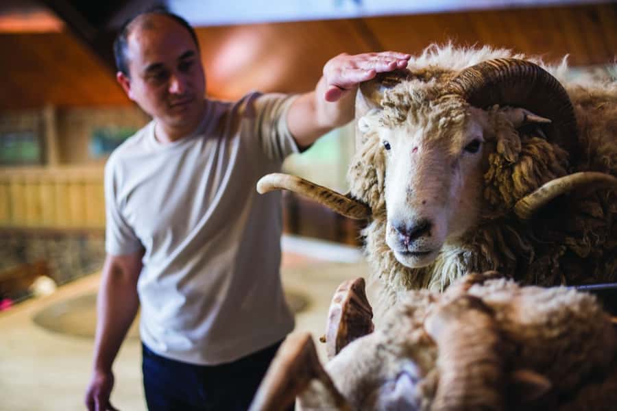 Rotorua: Authentic Kiwi Farm Experience at the Agrodome - Weather, clothing, and practical preparation