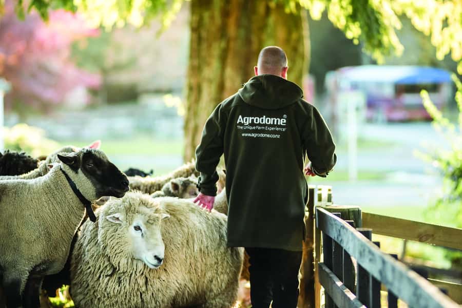 Rotorua: Authentic Kiwi Farm Experience at the Agrodome - Orchard tastings and the taste of New Zealand farming