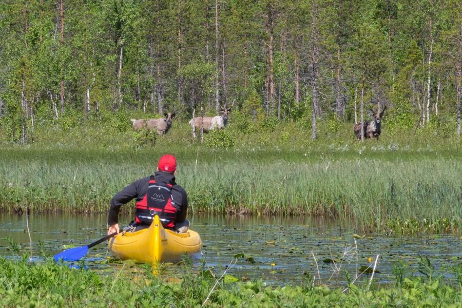Rovaniemi: Authentic Reindeer Farm & Canoeing - From campfire to canoe lesson