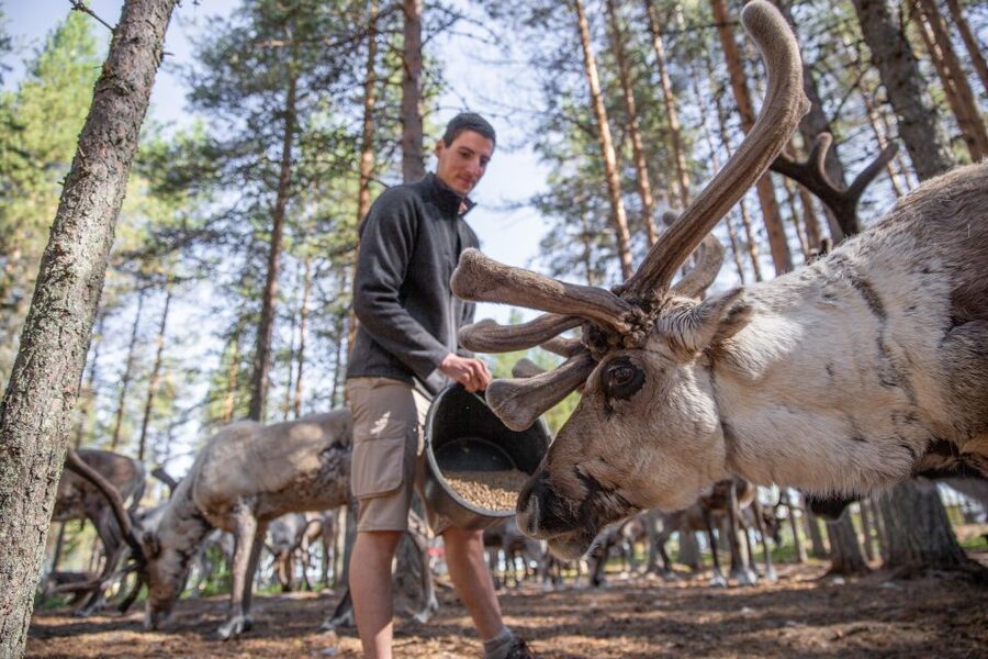 Rovaniemi: Authentic Reindeer Farm & Canoeing - Paddling across a quiet Arctic lake