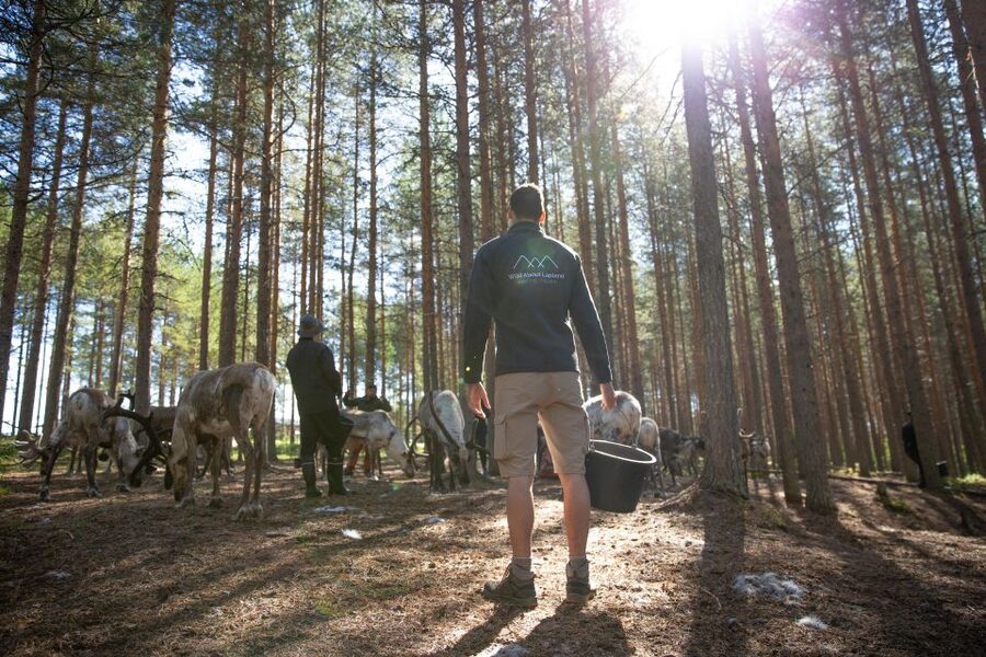 Rovaniemi: Authentic Reindeer Farm & Canoeing - Should you book this Rovaniemi tour?
