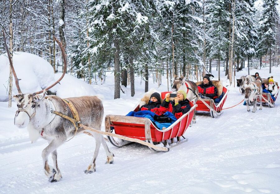 Rovaniemi: Authentic Reindeer Farm Visit & Short Sleigh Ride - Feeding the animals at the traditional farm
