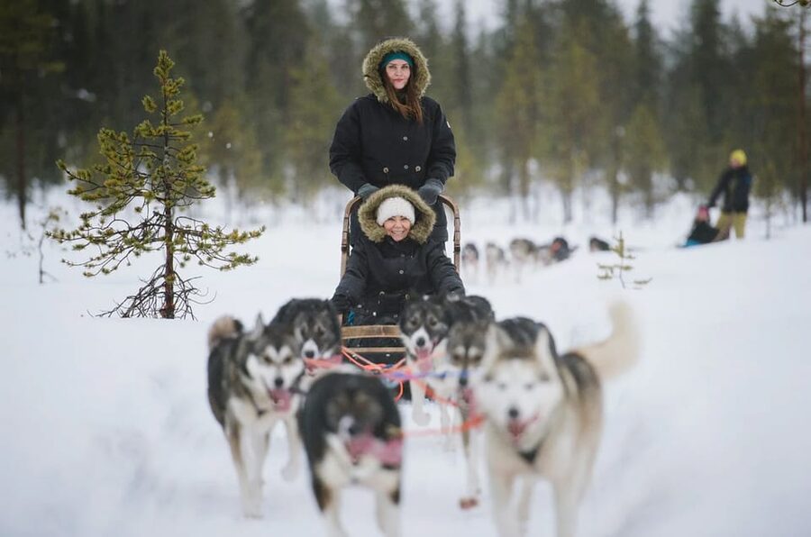 Rovaniemi: Family Friendly Husky Ride and Farm Visit - Who will enjoy this activity most?