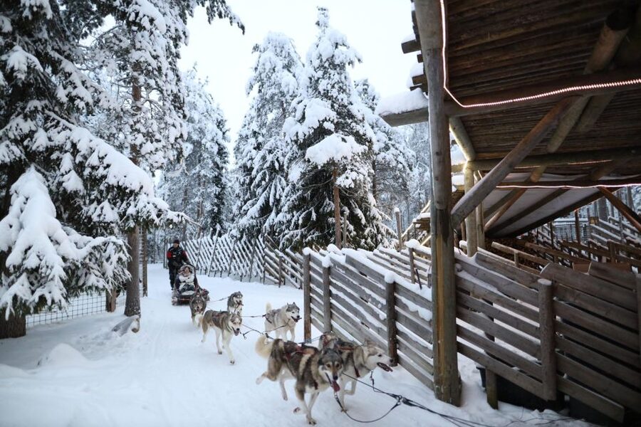 Rovaniemi: Husky and reindeer farm visit with sleigh rides - Key points at a glance