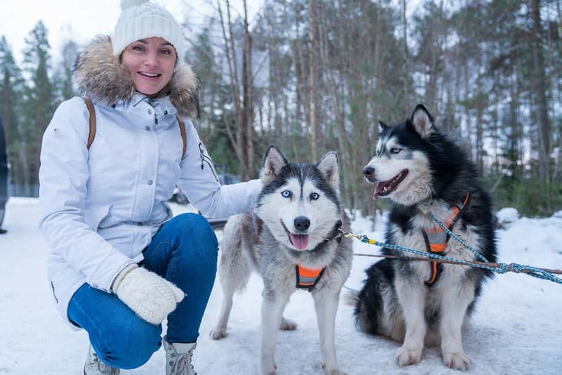 Rovaniemi: Husky Farm and Reindeer Experience - Meeting the reindeer and learning how herding works