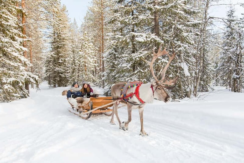 Rovaniemi: Husky Farm and Reindeer Experience - Santa Claus Village can add time, or take it away