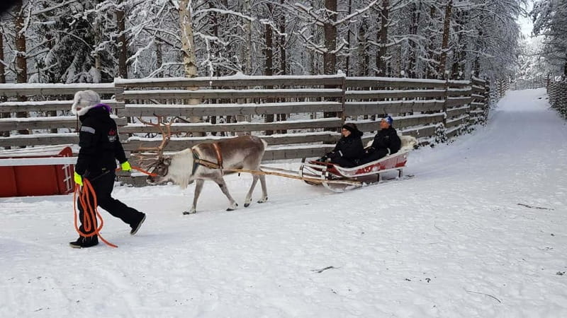Rovaniemi: Husky Farm and Reindeer Experience - What to wear and how to handle the cold