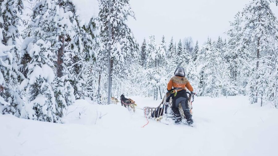 Rovaniemi: Husky Farm Visit with a Sledge Ride - Key points to know before booking