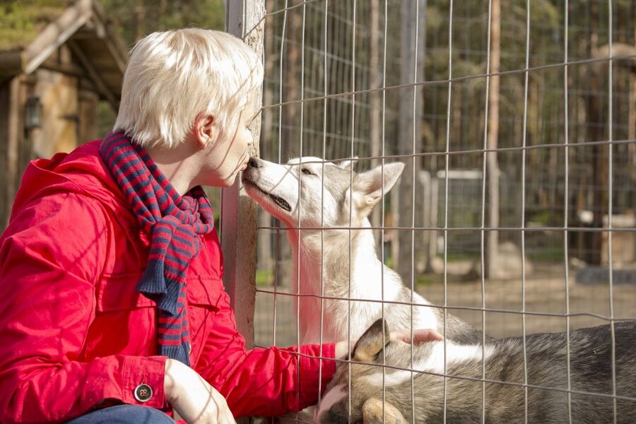 Rovaniemi: Quad Bike Safari, Reindeer & Husky Farm Visit - Key points to know before booking