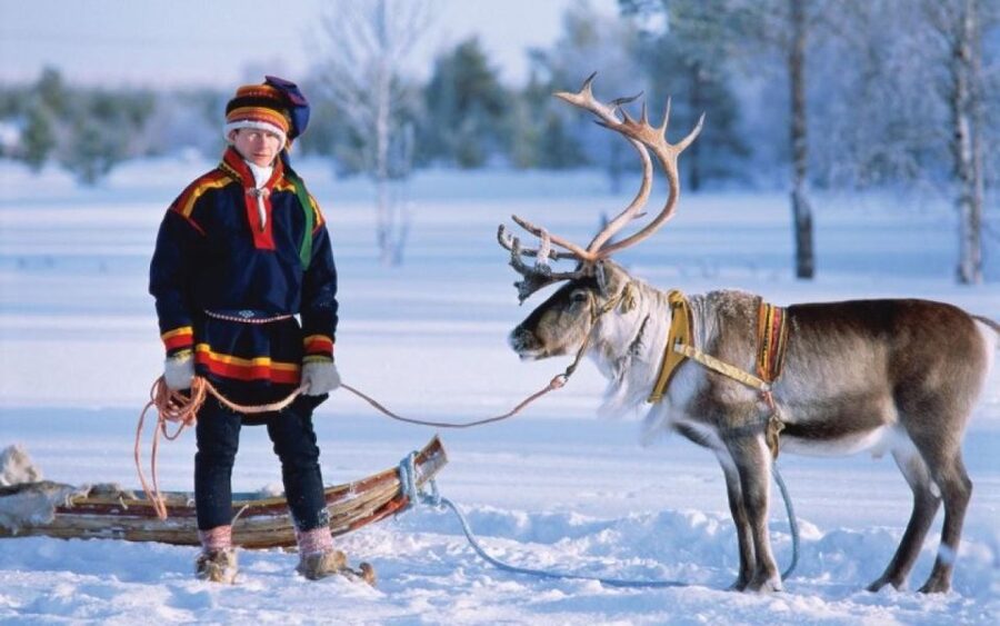 Rovaniemi: Reindeer Farm Tour with Sledge Ride & Pickup - Pickup from central Rovaniemi