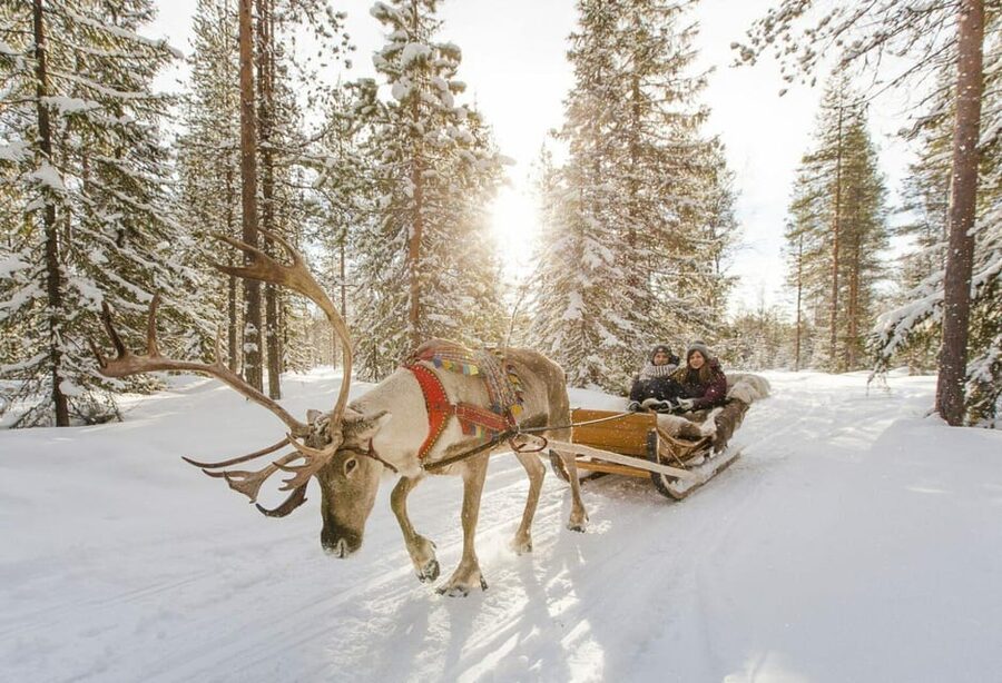 Rovaniemi: Reindeer Farm Visit and Sleigh Ride with transfer - Warming up inside the kota hut