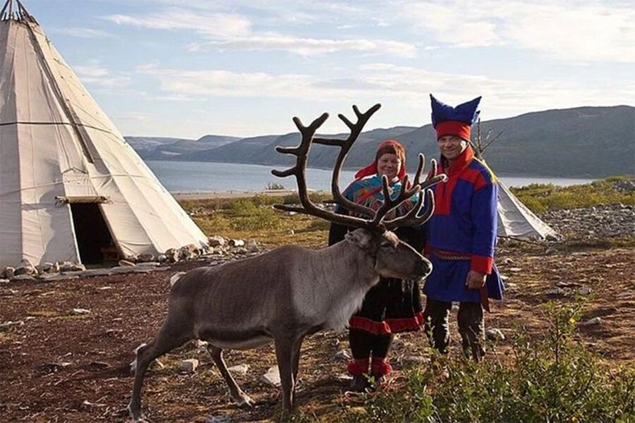 Rovaniemi: Reindeer Farm Visit in the Summer - Is $146 a fair price?