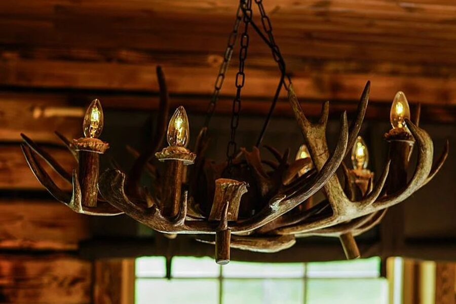 Rovaniemi: Reindeer Farm Visit in the Summer - Why the herder conversation matters