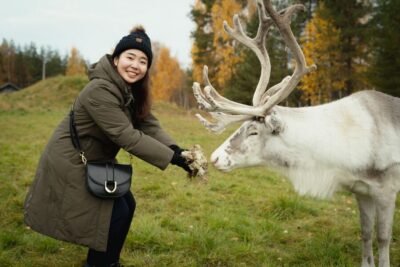 Reindeer Farm Visit with Photographer