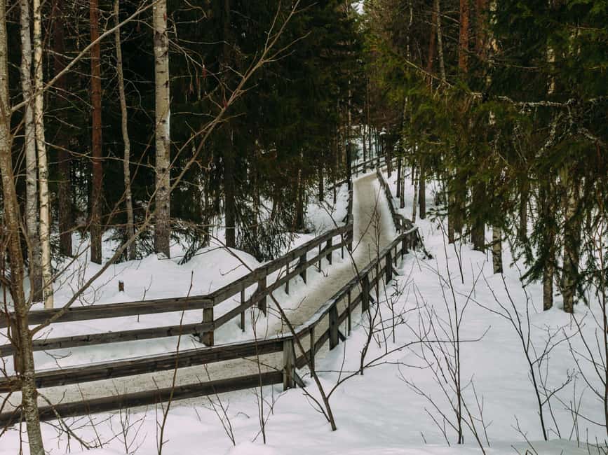 Rovaniemi: Reindeer Farm Visit with Sleigh Ride & Pickup - A short ride into Lapland’s reindeer country