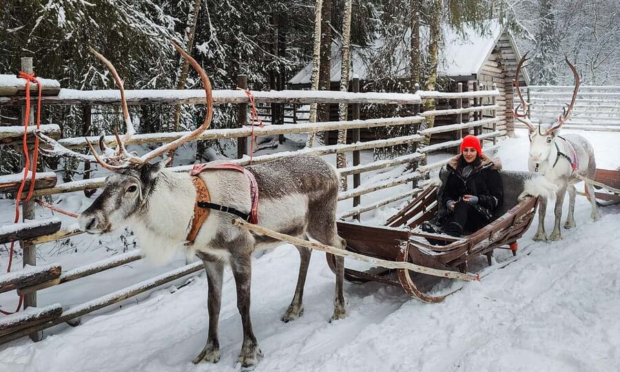 Rovaniemi: Reindeer Farm Visit with Sleigh Ride & Snacks - Stories and snacks in the kota hut