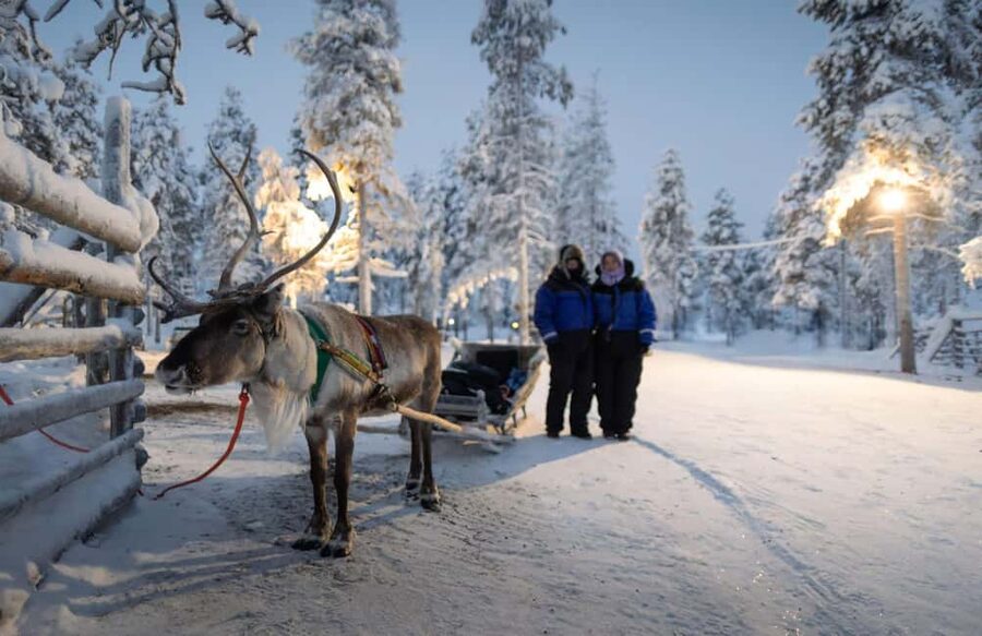 Rovaniemi: Reindeer Farm Visit with Sleigh Ride & Snacks - A 400 to 500-meter ride through the snow