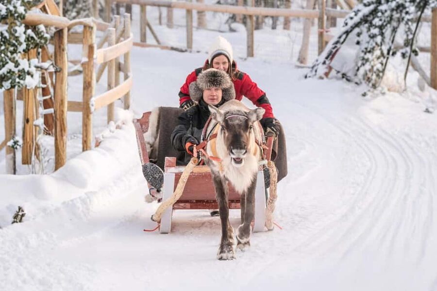Rovaniemi: Reindeer Safari at 200-Year-Old Farm & Sled Ride - Key points at a glance