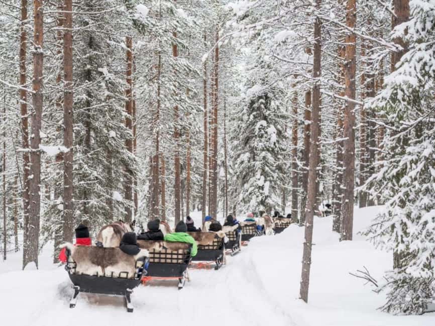 Rovaniemi: Reindeer Safari at 200-Year-Old Farm & Sled Ride - Who will enjoy this most?