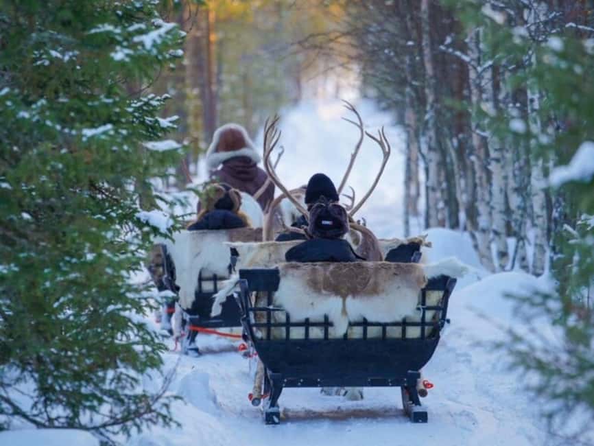 Rovaniemi: Reindeer Safari at 200-Year-Old Farm & Sled Ride - Does the $211 price make sense?