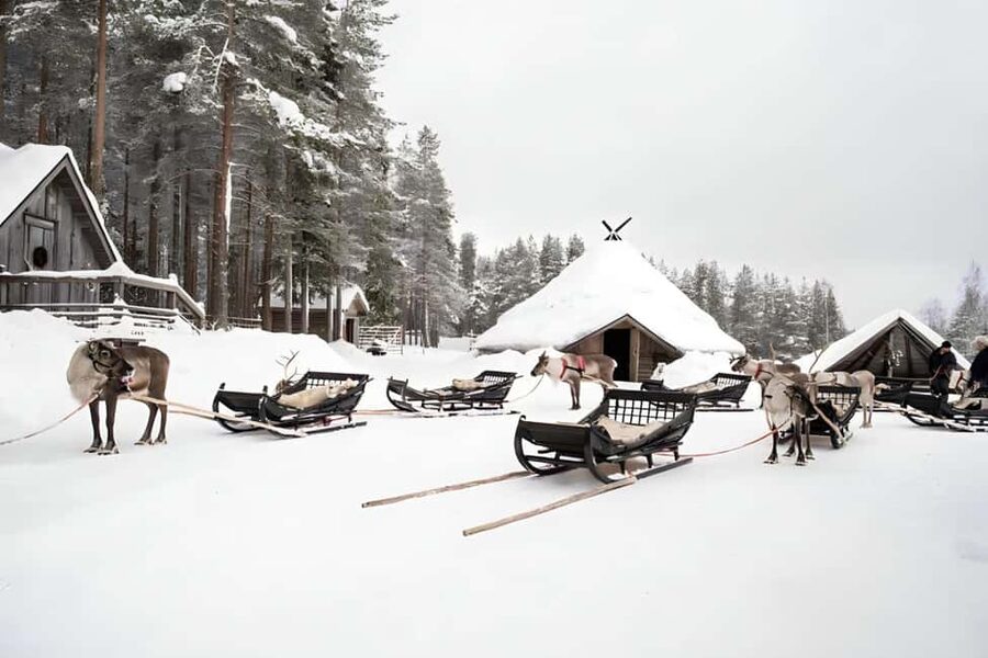 Rovaniemi: Reindeer Safari at 200-Year-Old Farm & Sled Ride - What to bring and what stays behind