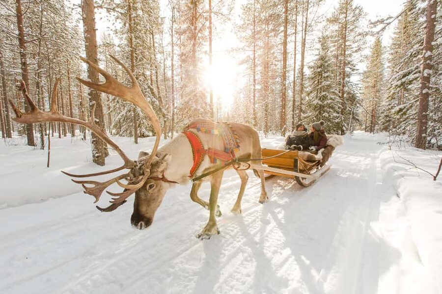 Rovaniemi: Saami Reindeer Farm Visit & Sleigh Ride - Key points to know before booking