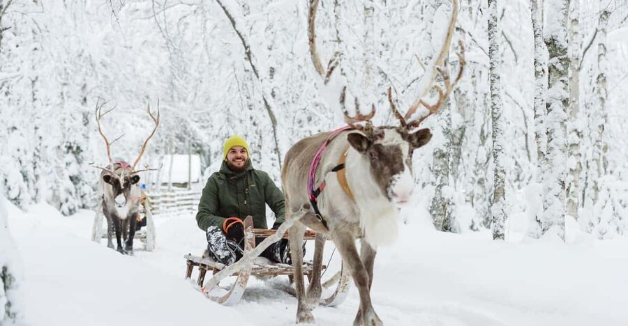 Rovaniemi: Saami Reindeer Farm Visit & Sleigh Ride - Meeting the reindeer outside Rovaniemi