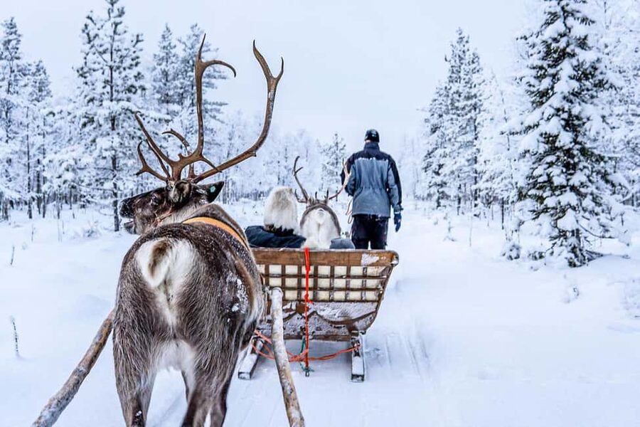 Rovaniemi: Saami Reindeer Farm Visit & Sleigh Ride - Stories inside the kota hut