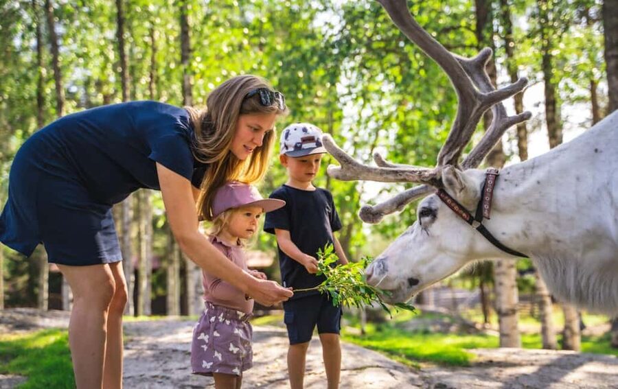 Rovaniemi: Saami Reindeer Farm Visit & Sleigh Ride - Who will enjoy this farm visit most?