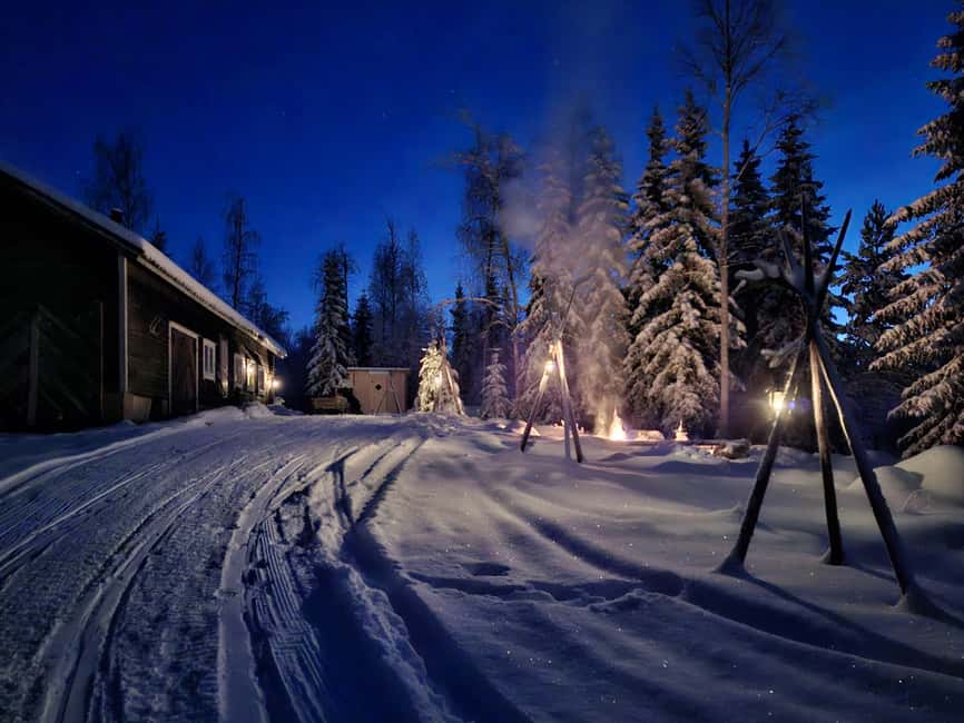 Rovaniemi:Self-drive Husky safari with a Reindeer Farm visit - A small reindeer farm with time to slow down
