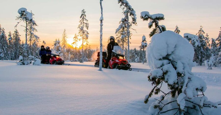 Rovaniemi: Snowmobile Safari to a Reindeer Farm - Key points to know before booking