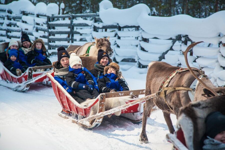 Rovaniemi: Snowmobile Safari to a Reindeer Farm - The reindeer sleigh, and its short length