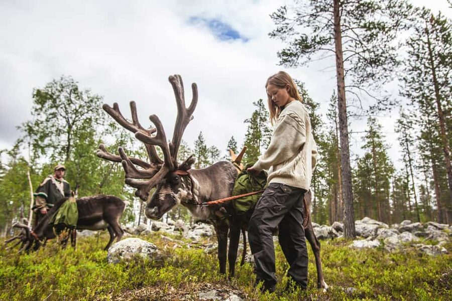 Rovaniemi: Summer/Autumn Reindeer Farm Experience - Practical details before you book