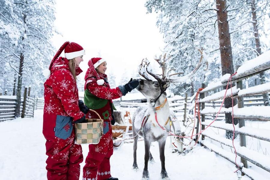 Rovaniemi: Visit to Santa's reindeer farm with reindeer ride - Key points to know before you go
