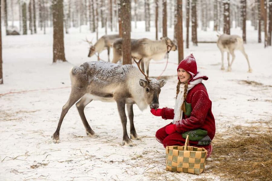 Rovaniemi: Visit to Santa's reindeer farm with reindeer ride - Practical cold-weather advice