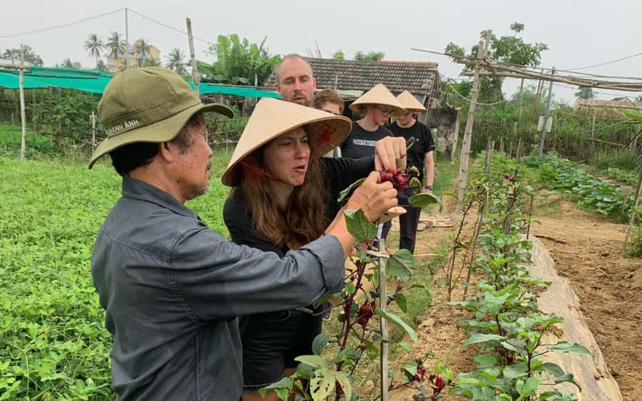 Rural Cycle, Market Tour, Basket Boat & Organic Farm Cooking - A four-hour route from Hoi An to the farm