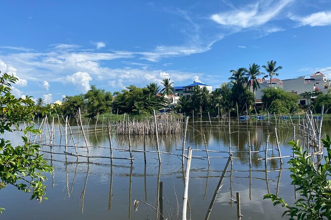 Rural Hoi An Cycling, Cooking Class at Organic Farm - Rice fields, farm work, and the route to lunch