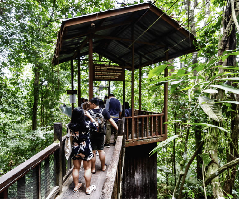 Sabah: Kinabalu Park, Hot Springs, and Cow Farm Day Tour - Transport, timing, and practical comfort