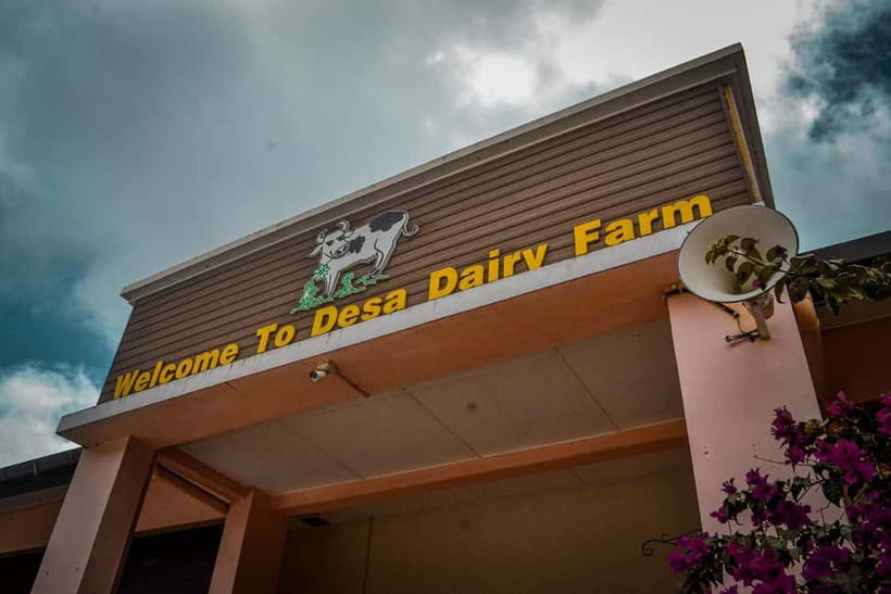 Sabah: Kinabalu Park, Poring Hot Springs & Desa Farm Tour - Kinabalu Park and the Mount Kinabalu photo stop