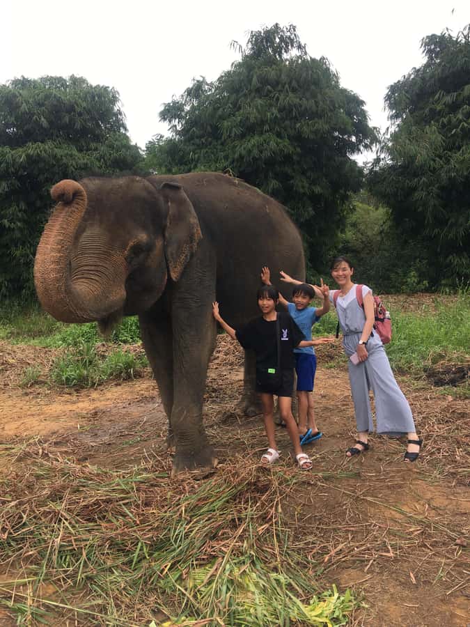 Safari Lagoi & Eco Farm Bintan - What the $27 price includes